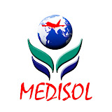 Medisol Placements Private Limited logo