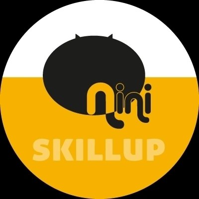 Nini Skillup Private Limited logo