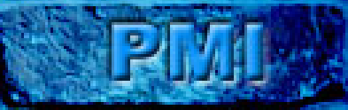 Pacific Mediterrenian International Manpower Agency, Inc. logo